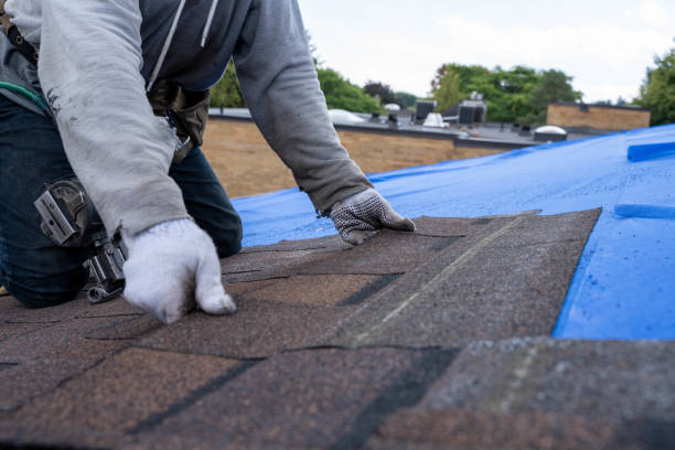 Fast & Reliable Emergency Roof Repairs in Santa Teresa, NM