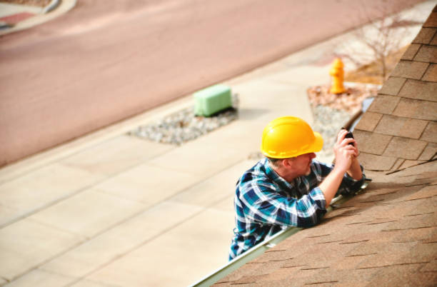 Best Roof Moss and Algae Removal  in Santa Teresa, NM
